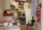 🌿 نقلی، دنج و خوش‌دسترسی | مناسب زندگی آرام در قلب تهران